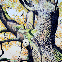 Karen Frampton, New Forest Artist, paintings, greeting cards, murals, slate, Hampshire, UK